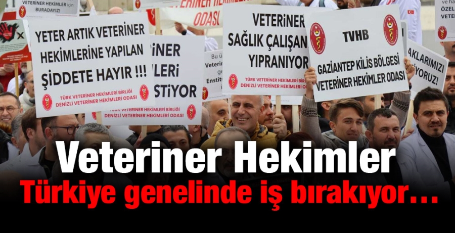 Veteriner Hekimler Türkiye genelinde iş bırakıyor…
