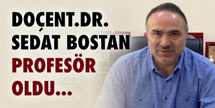 Doç. Dr. Sedat Bostan Profesör Oldu...