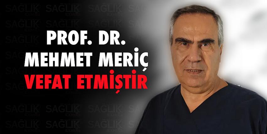  Prof. Dr. Mehmet Meriç vefat etmiştir