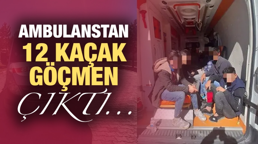 Ambulanstan 12 kaçak göçmen çıktı