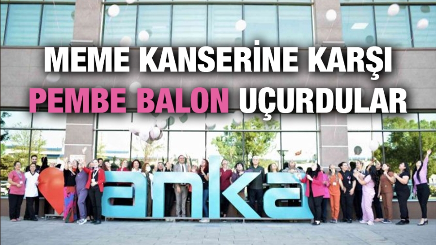 Meme Kanserine Karşı Pembe Balon Uçurdular