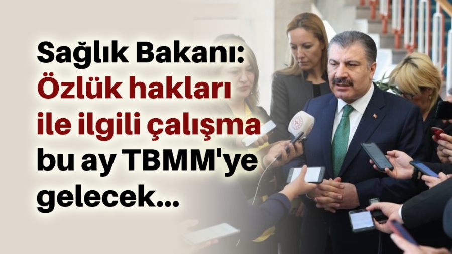 Sağlık Bakanı: Özlük hakları ile ilgili çalışma bu ay TBMM