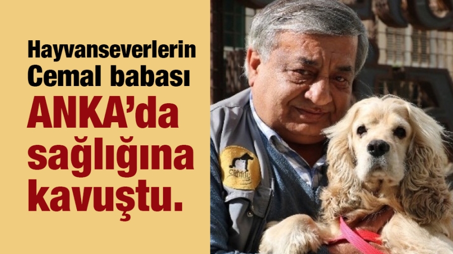 Hayvan severlerin Cemal babası sağlığına kavuştu