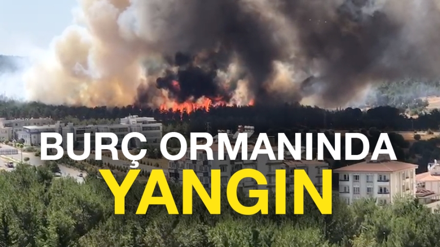 Burç Ormanında Yangın!