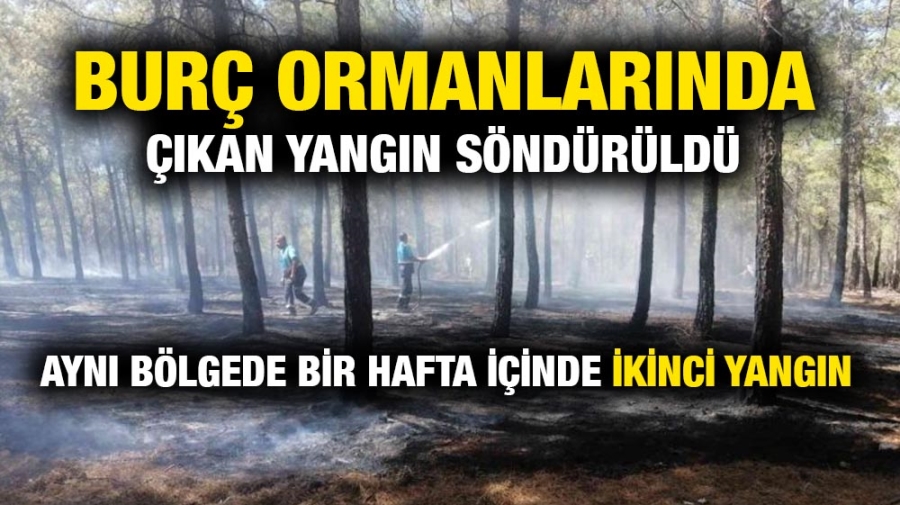 Burç ormanlarında çıkan yangın söndürüldü