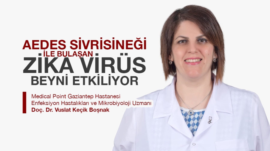 AEDES SİVRİSİNEĞİ İLE BULAŞAN ZİKA VİRÜS BEYNİ ETKİLİYOR