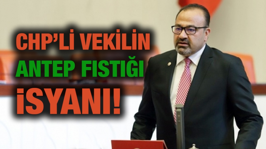 CHP’Lİ VEKİLİN ANTEP FISTIĞI İSYANI!