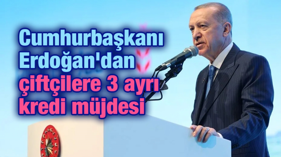 Cumhurbaşkanı Erdoğan