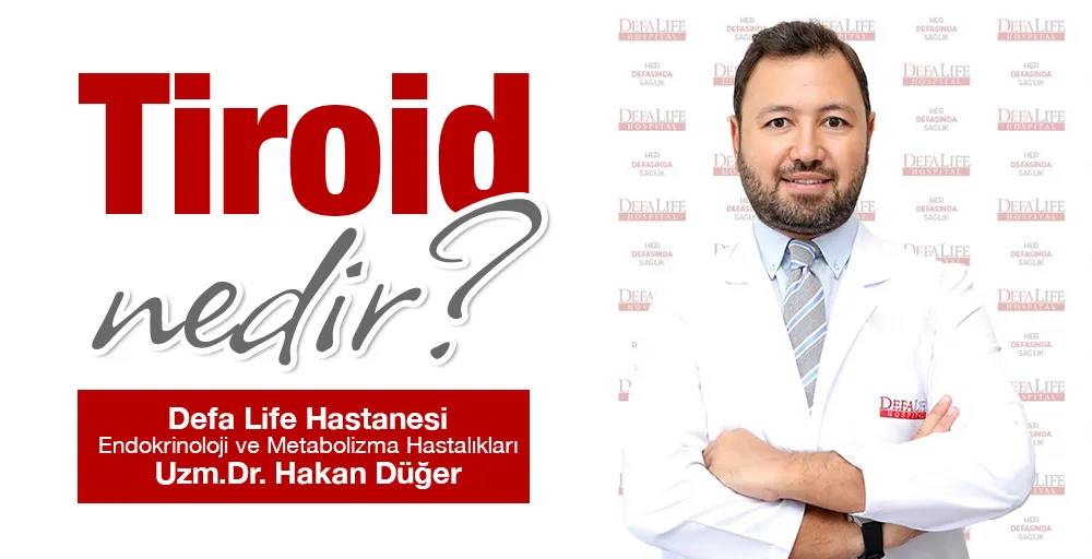 Tiroid nedir?