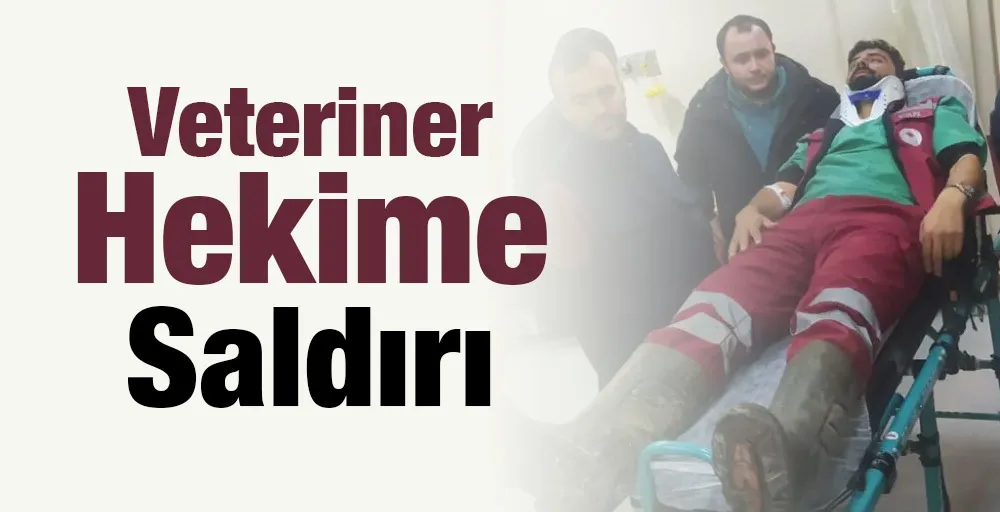 Veteriner Hekime saldırı