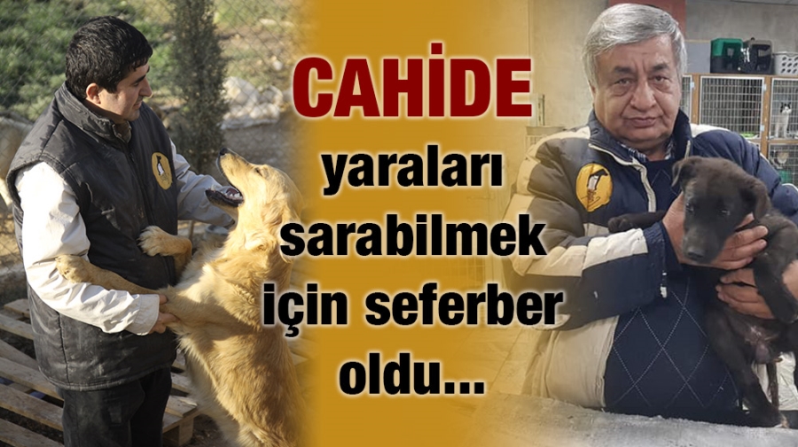 CAHİDE yaraları sarabilmek için seferber oldu