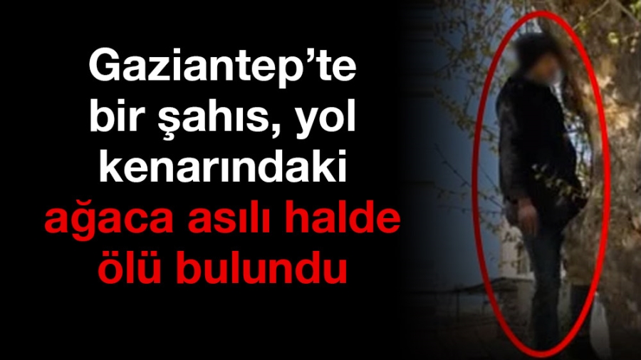 Gaziantep’te bir şahıs, yol kenarındaki ağaca asılı halde ölü bulundu