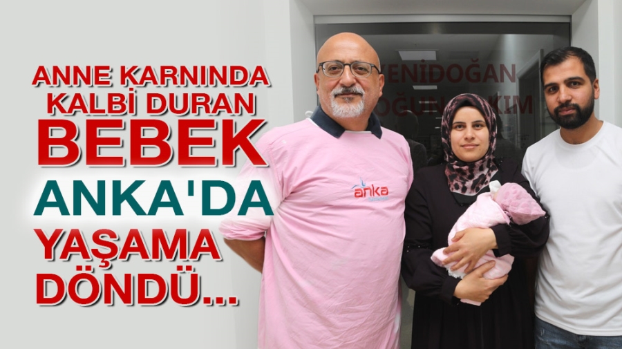 ANNE KARNINDA KALBİ DURAN BEBEK ANKA