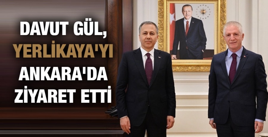 Davut Gül, Yerlikaya