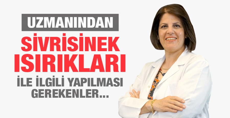 Uzmanından Sivrisinek Isırıkları ile İlgili Yapılması Gerekenler