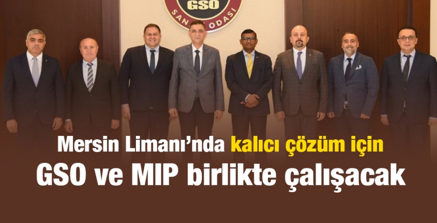 Mersin Limanı’nda kalıcı çözüm için GSO ve MIP birlikte çalışacak