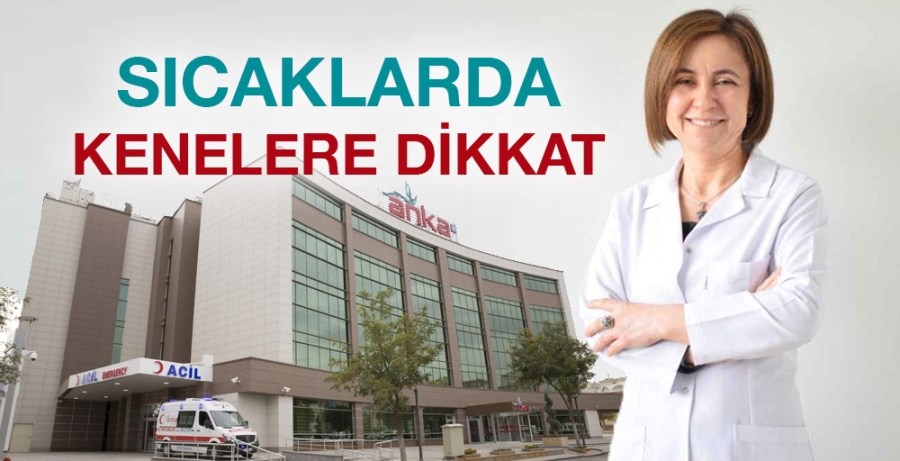 Sıcaklarda kenelere dikkat