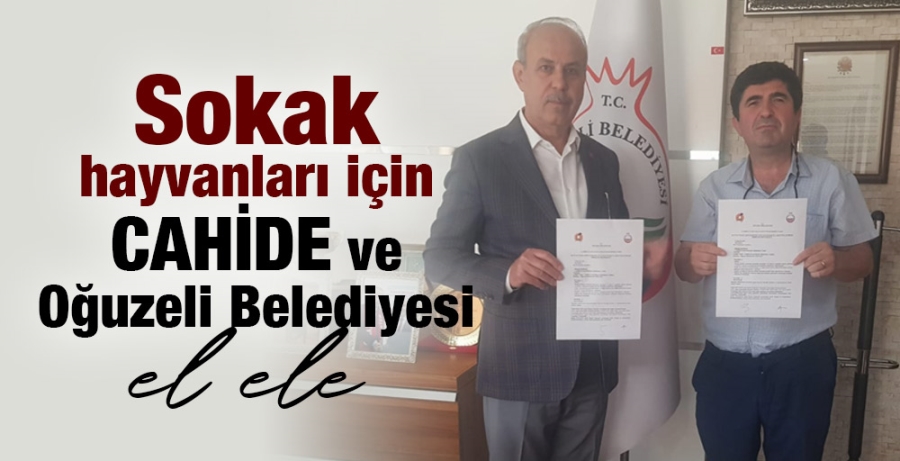 Sokak hayvanları için CAHİDE ve Oğuzeli Belediyesi el ele