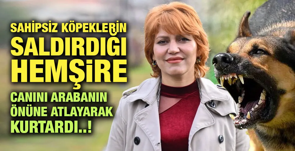 Sahipsiz köpeklerin saldırdığı hemşire canını arabanın önüne atlayarak kurtardı