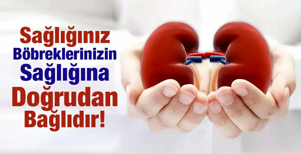 SAĞLIĞINIZ BÖBREKLERİNİZİN SAĞLIĞINA DOĞRUDAN BAĞLIDIR!