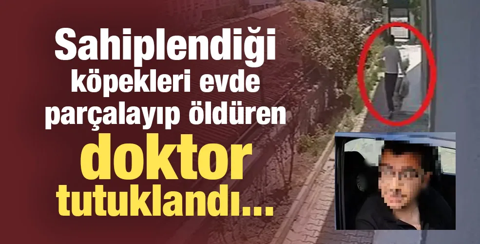 Sahiplendiği köpekleri evde parçalayıp öldüren doktor tutuklandı... 
