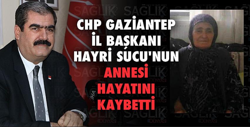 Hayri Sucu