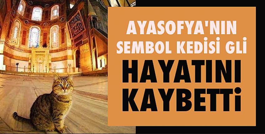 Ayasofya