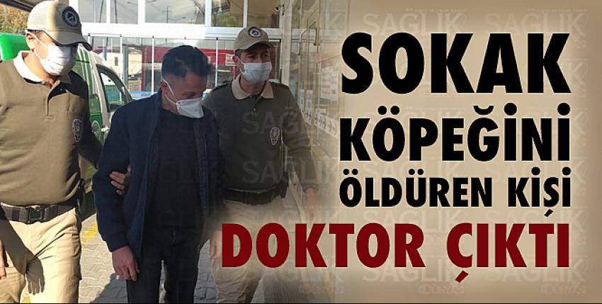 Sokak köpeğini öldüren kişi doktor çıktı!