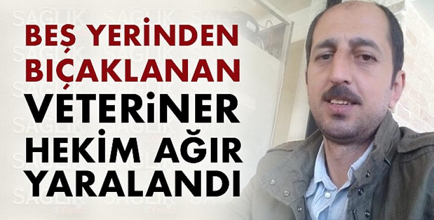 Beş yerinden bıçaklanan veteriner hekim ağır yaralandı.