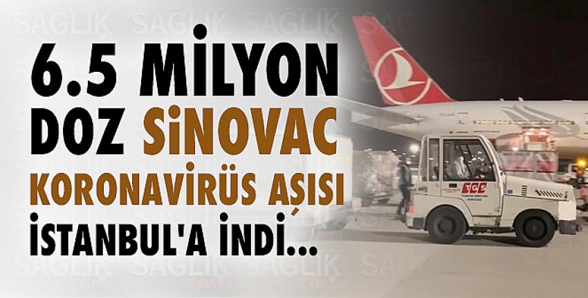 6.5 milyon doz Sinovac koronavirüs aşısı İstanbul