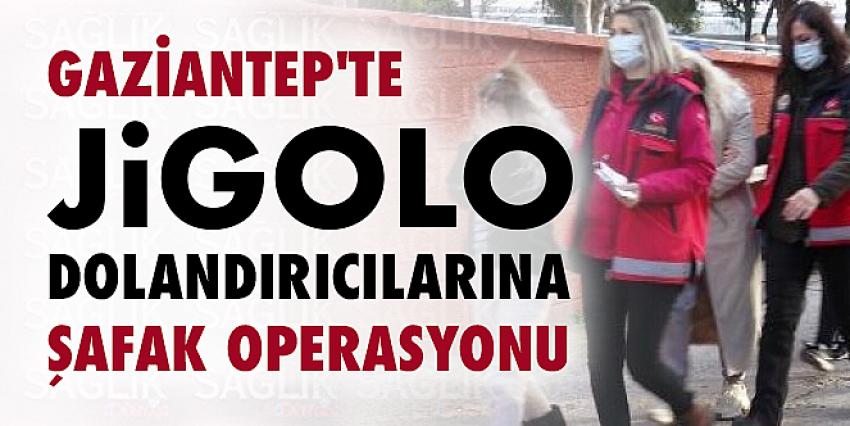 Gaziantep’te Jigolo Dolandırıcılarına Şafak Operasyonu