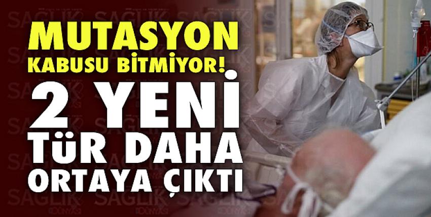 Mutasyon kabusu bitmiyor! 2 yeni tür daha ortaya çıktı!