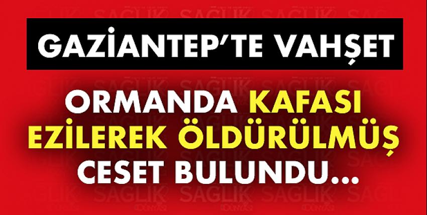 Belediye çalışanı kafası ezilerek öldürülmüş olarak bulundu!