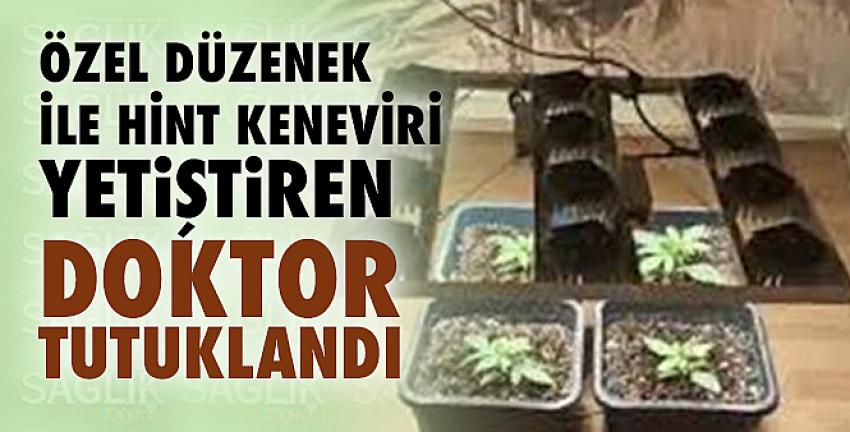 Özel düzenek ile hint keneviri yetiştiren doktor tutuklandı