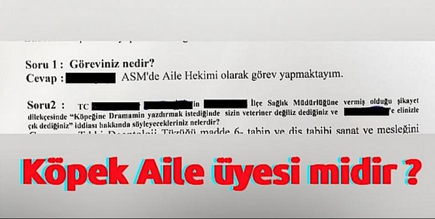 Köpek Aile üyesi midir ?