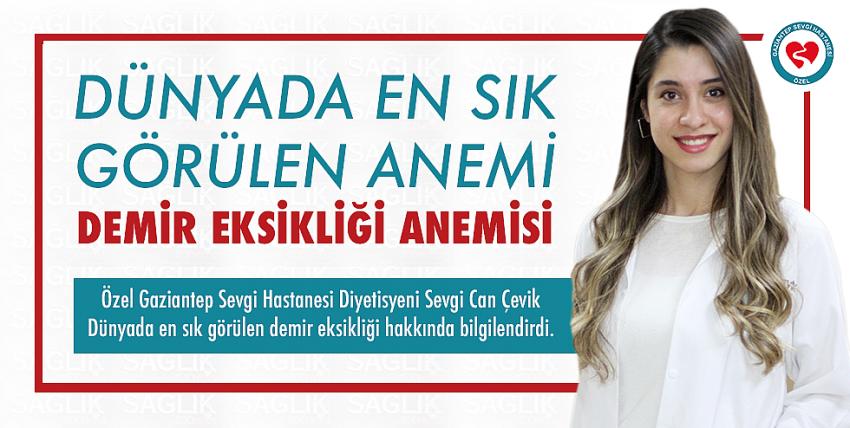 Demir Eksikliği Anemisi 