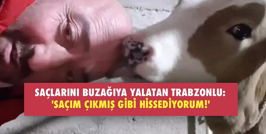 Saçlarını buzağıya yalatan Trabzonlu: 