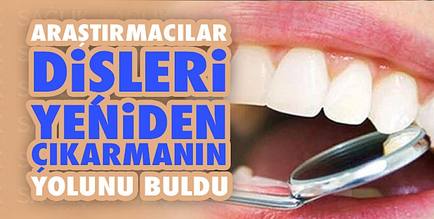 Araştırmacılar dişleri yeniden çıkarmanın yolunu buldu!