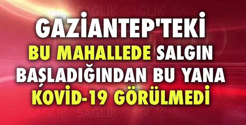 Gaziantep’teki bu mahallede Kovid-19 görülmedi