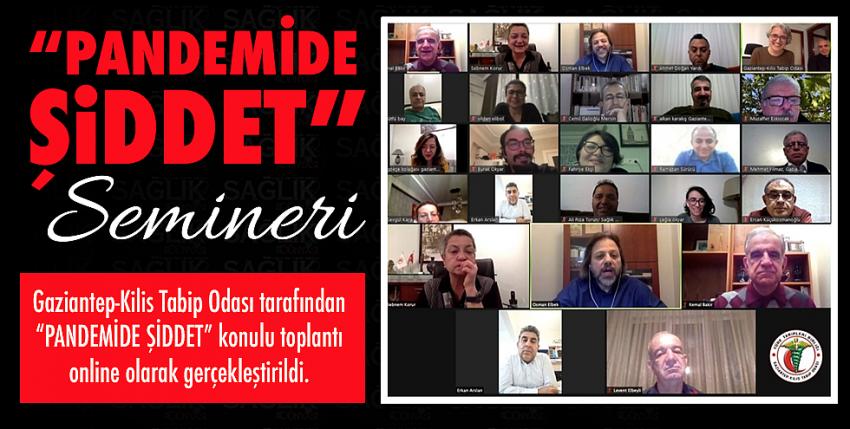  “Pandemide Şiddet” Semineri