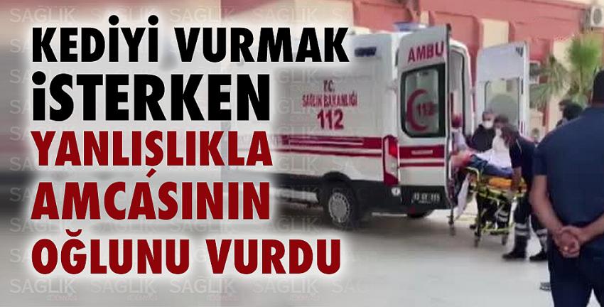 Kediyi vurmak isterken yanlışlıkla amcasının oğlunu vurdu