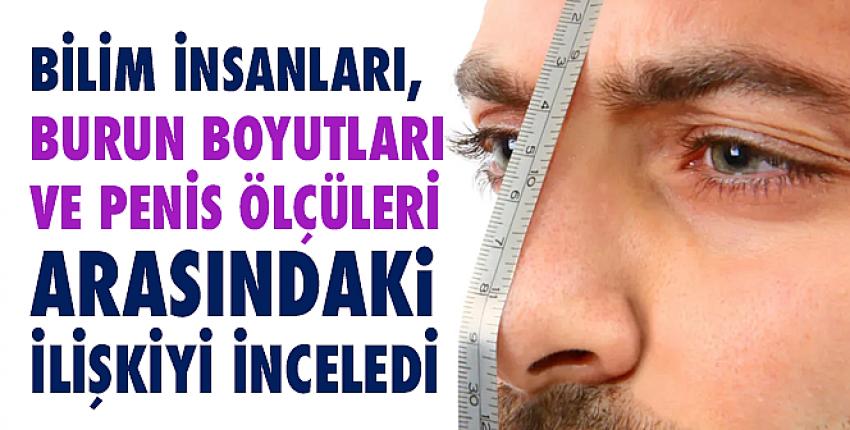 Bilim insanları, burun boyutları ve penis ölçüleri arasındaki ilişkiyi inceledi