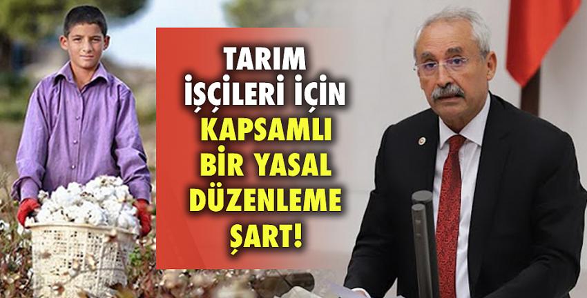 Tarım İşçileri İçin Kapsamlı Bir Yasal Düzenleme Şart!