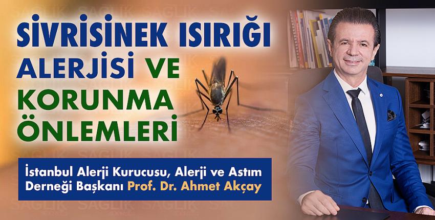 Sivrisinek Isırığı Alerjisi ve Korunma Önlemleri