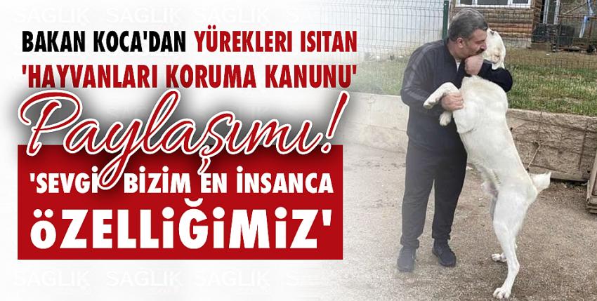 Bakan Koca: