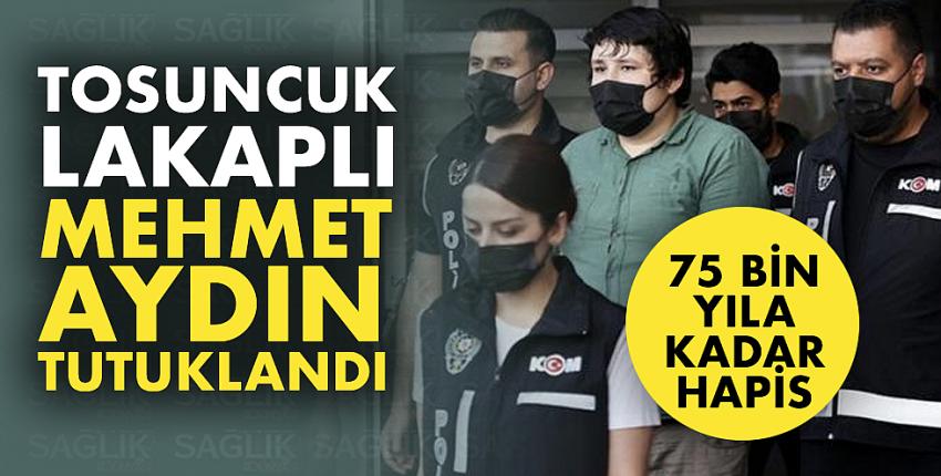 Tosuncuk lakaplı Mehmet Aydın tutuklandı