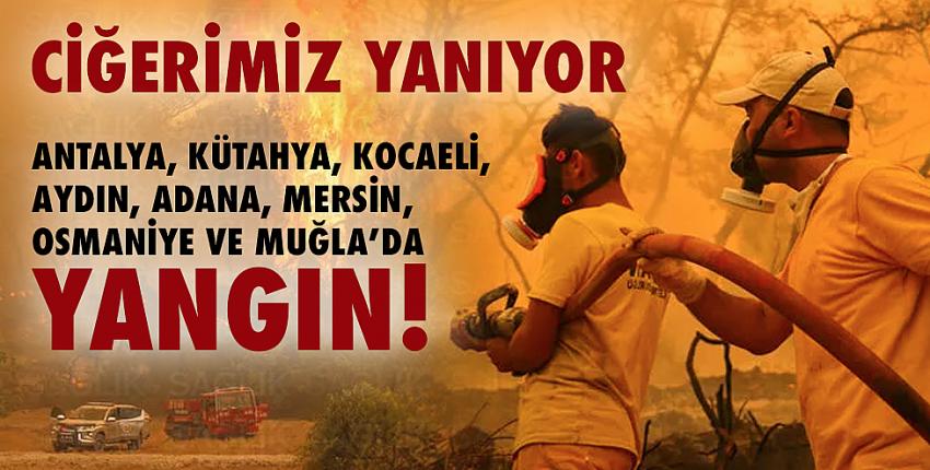 Ciğerimiz Yanıyor!