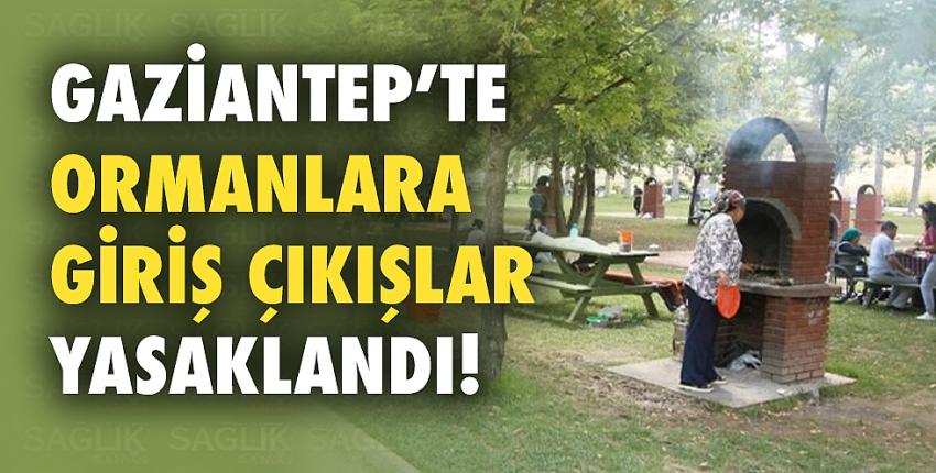 Gaziantep’te ormanlara giriş çıkışlar yasaklandı!