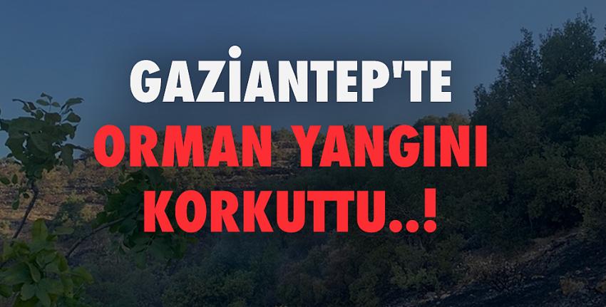 Gaziantep