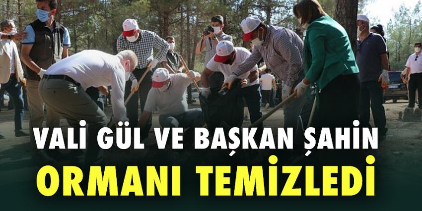 Vali Gül ve Başkan Şahin ormanı temizledi